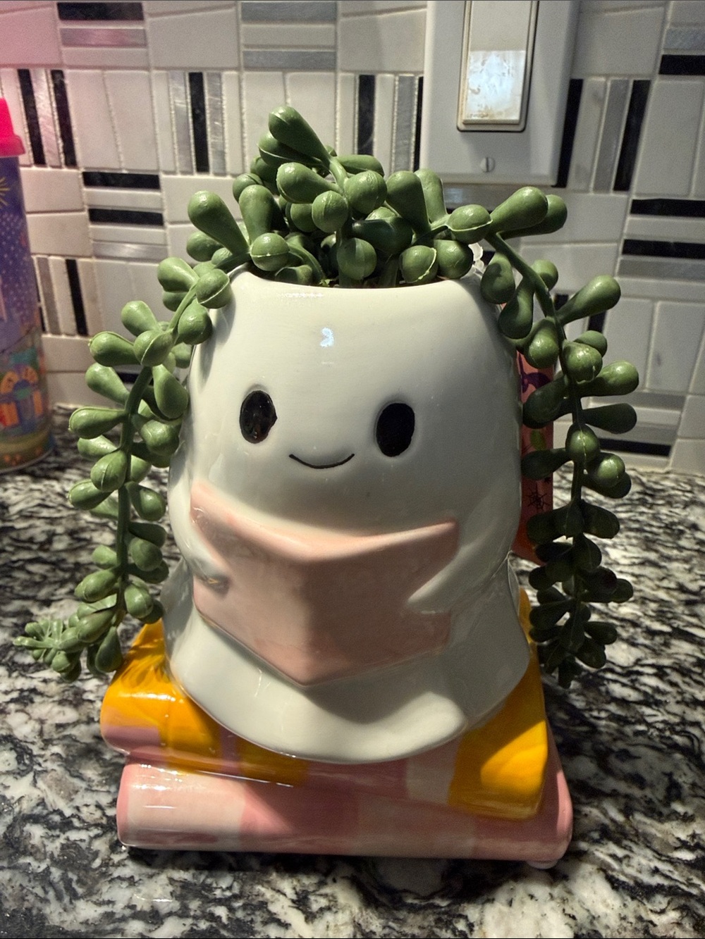 TOO CUTE!!! Ceramic Bath/kitchen Planter in White and Pink